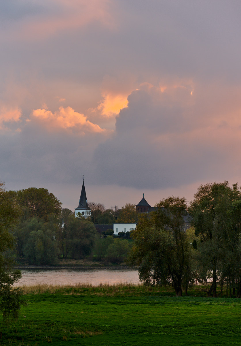 Nazwa:  _7NO6393 2.jpg
Wyświetleń: 143
Rozmiar:  201,4 KB