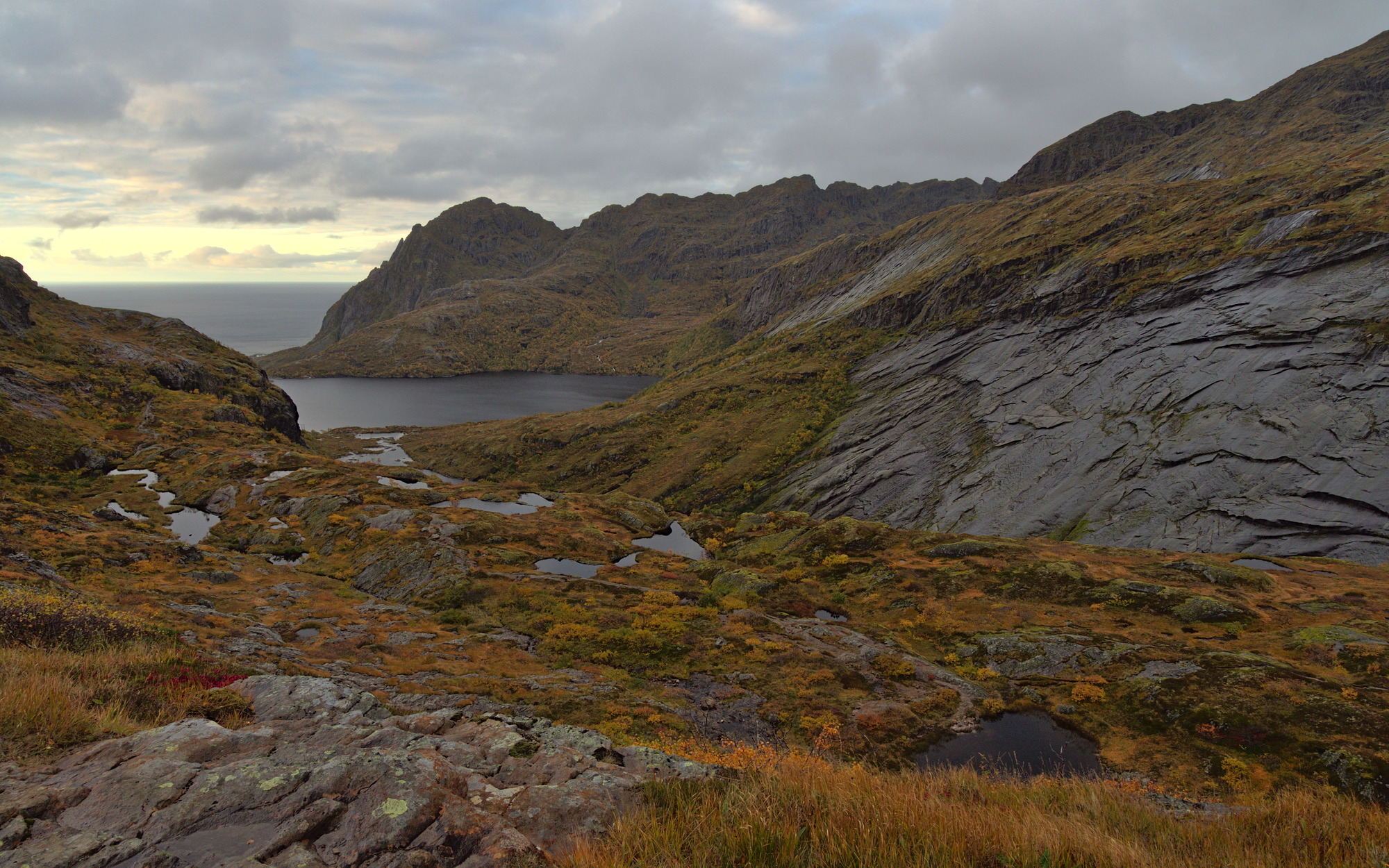 Nazwa:  KS181108.jpg
Wyświetleń: 200
Rozmiar:  945,3 KB