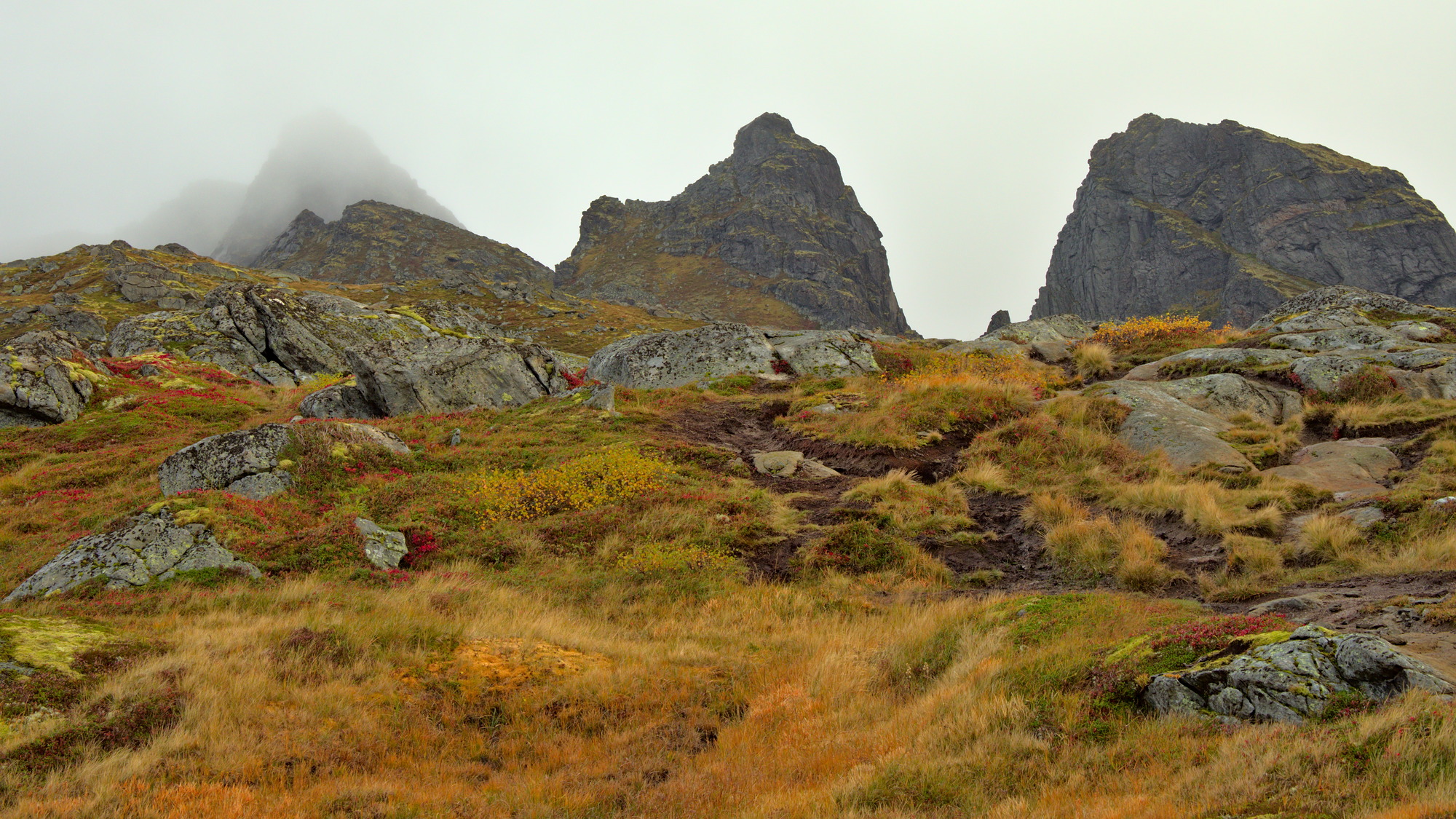 Nazwa:  KS181126.jpg
Wyświetleń: 198
Rozmiar:  911,3 KB