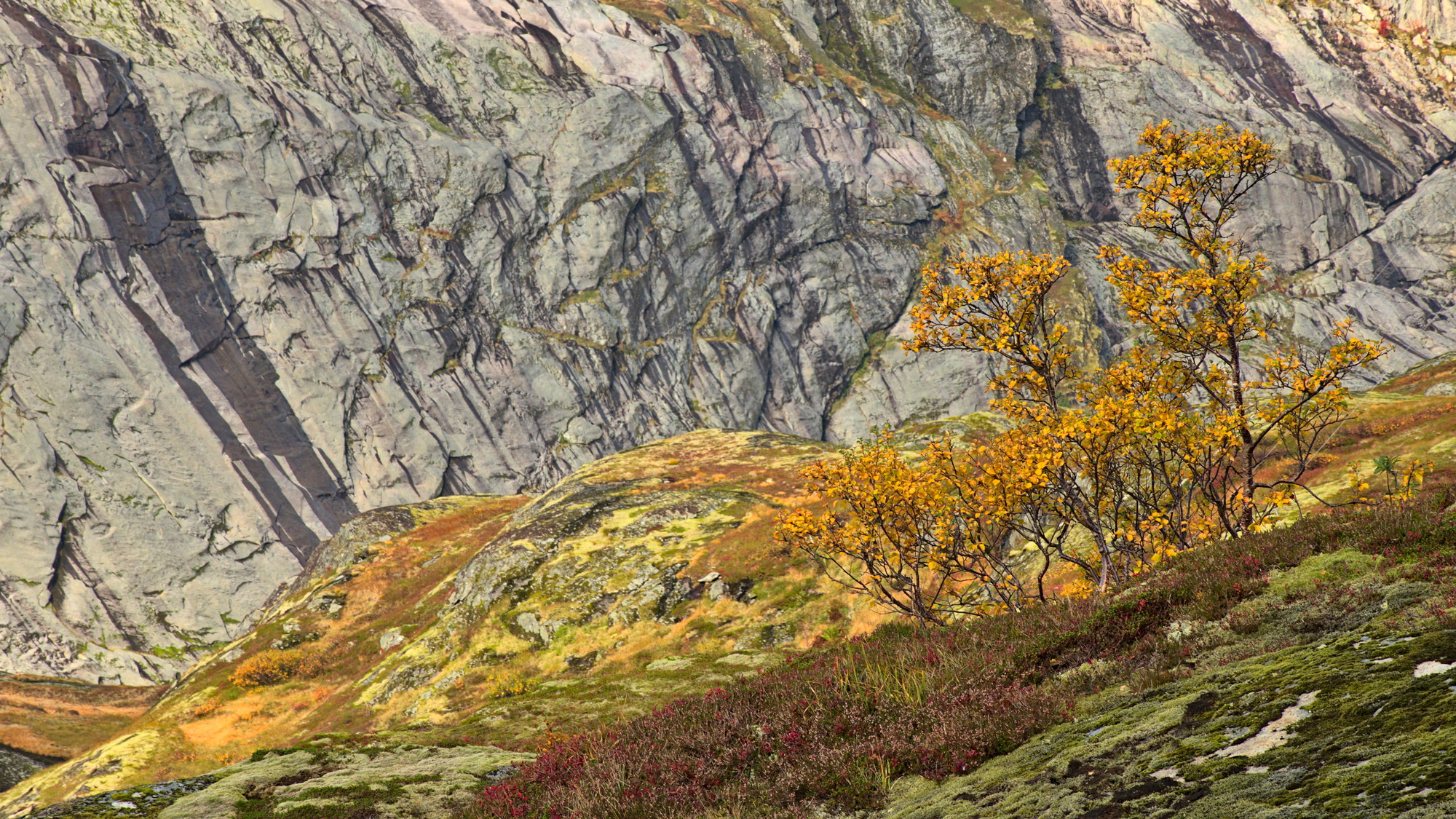 Nazwa:  KS181398.jpg
Wyświetleń: 142
Rozmiar:  1,15 MB