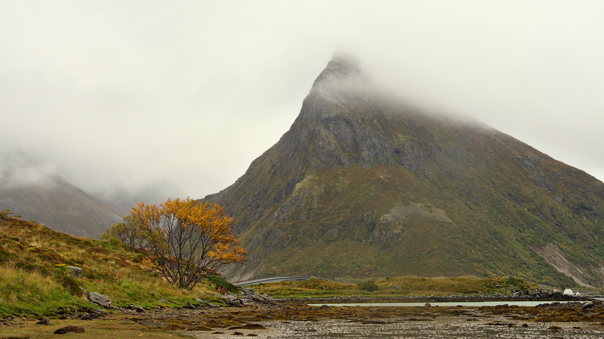 Nazwa:  KS181470.jpg
Wyświetleń: 145
Rozmiar:  652,2 KB