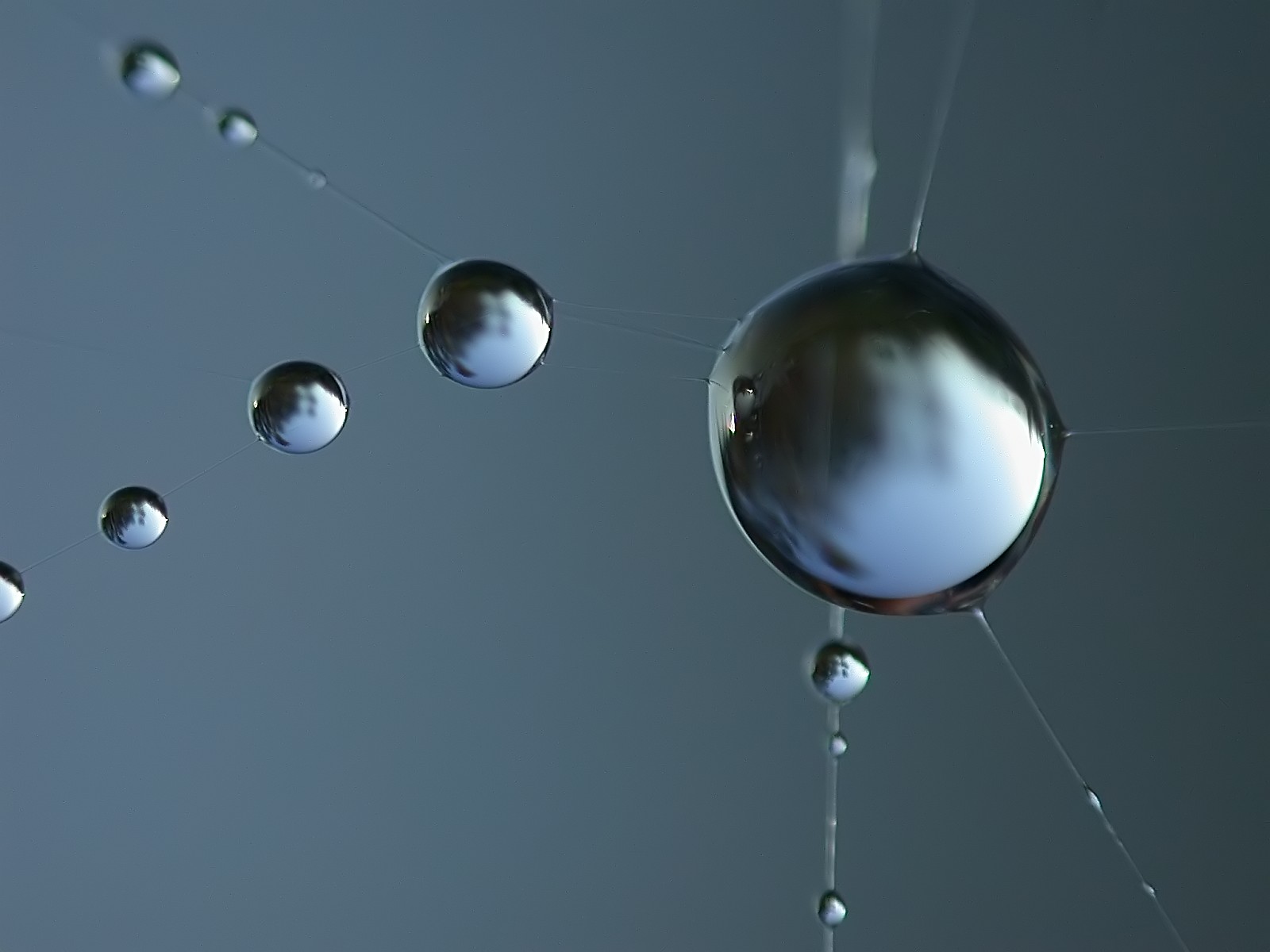 Nazwa:  kropelki18665f.jpg
Wyświetleń: 139
Rozmiar:  105,0 KB