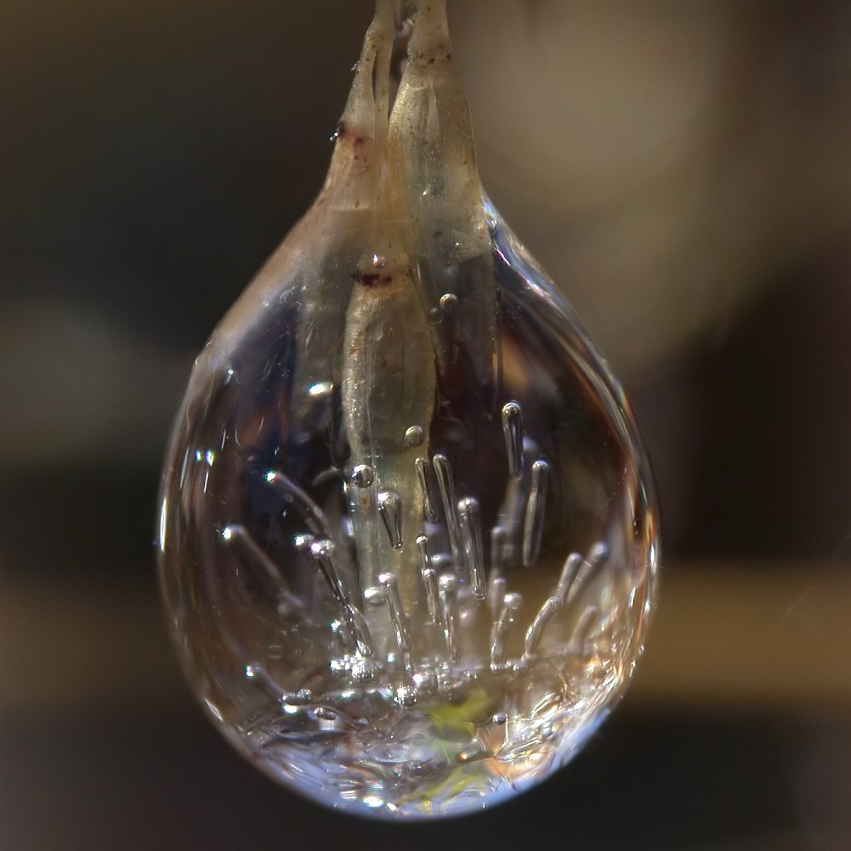 Nazwa:  kropelka20354f2.jpg
Wyświetleń: 80
Rozmiar:  215,5 KB