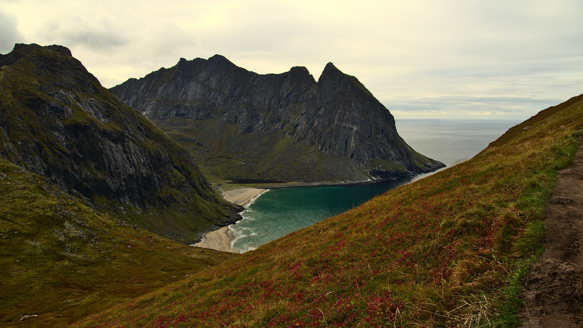 Nazwa:  KS202336.jpg
Wyświetleń: 273
Rozmiar:  811,4 KB