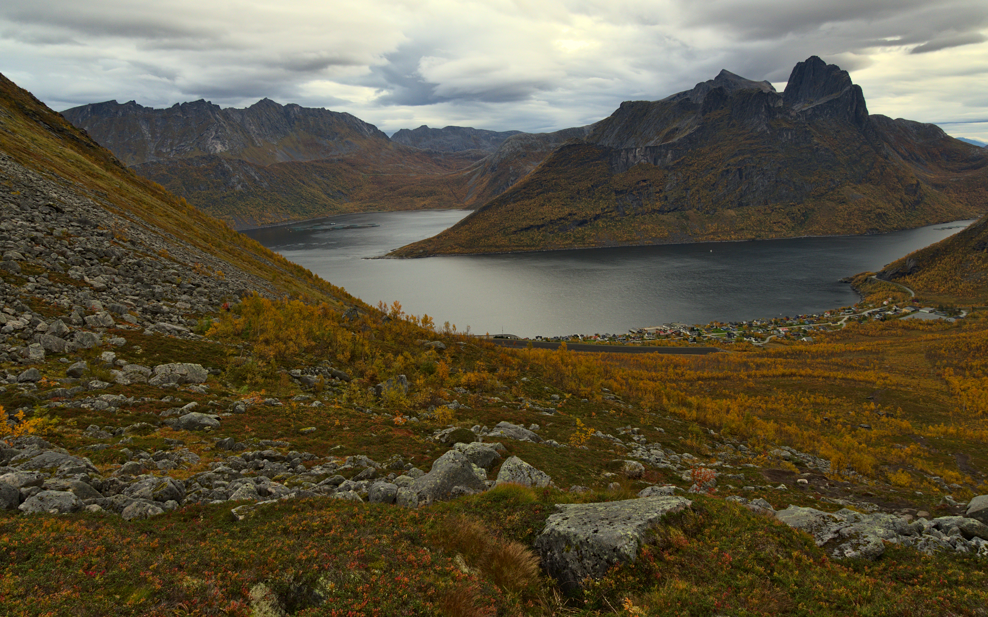 Nazwa:  KS232789.jpg
Wyświetleń: 201
Rozmiar:  3,84 MB