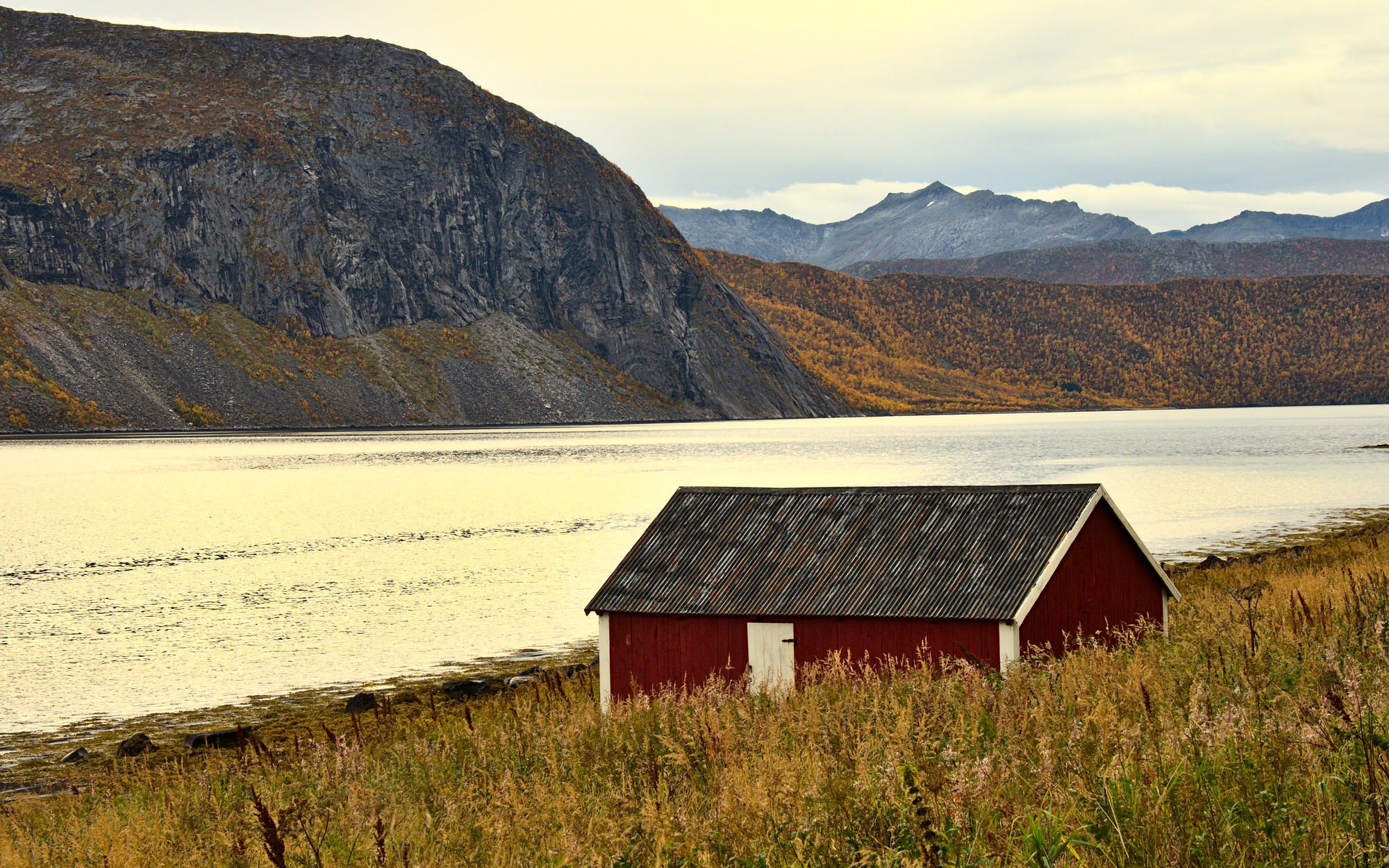 Nazwa:  KS232967.jpg
Wyświetleń: 149
Rozmiar:  4,01 MB