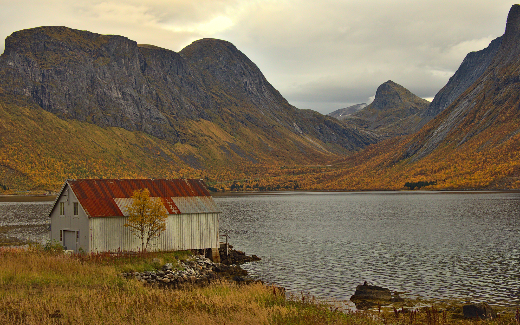 Nazwa:  KS232968.jpg
Wyświetleń: 148
Rozmiar:  3,98 MB