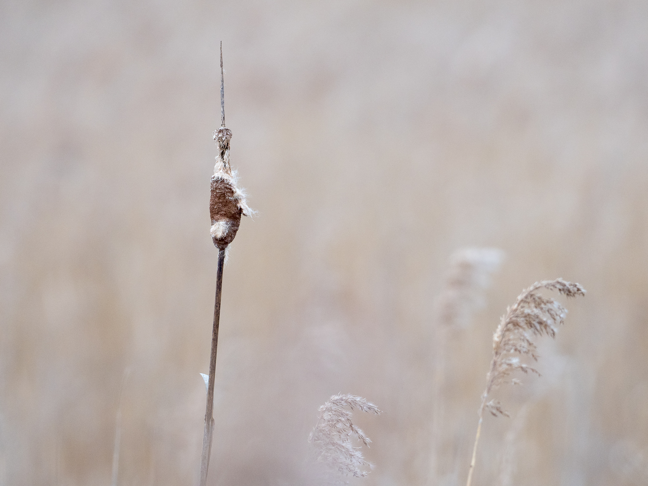 Nazwa:  P1010048.jpg
Wyświetleń: 199
Rozmiar:  1,72 MB