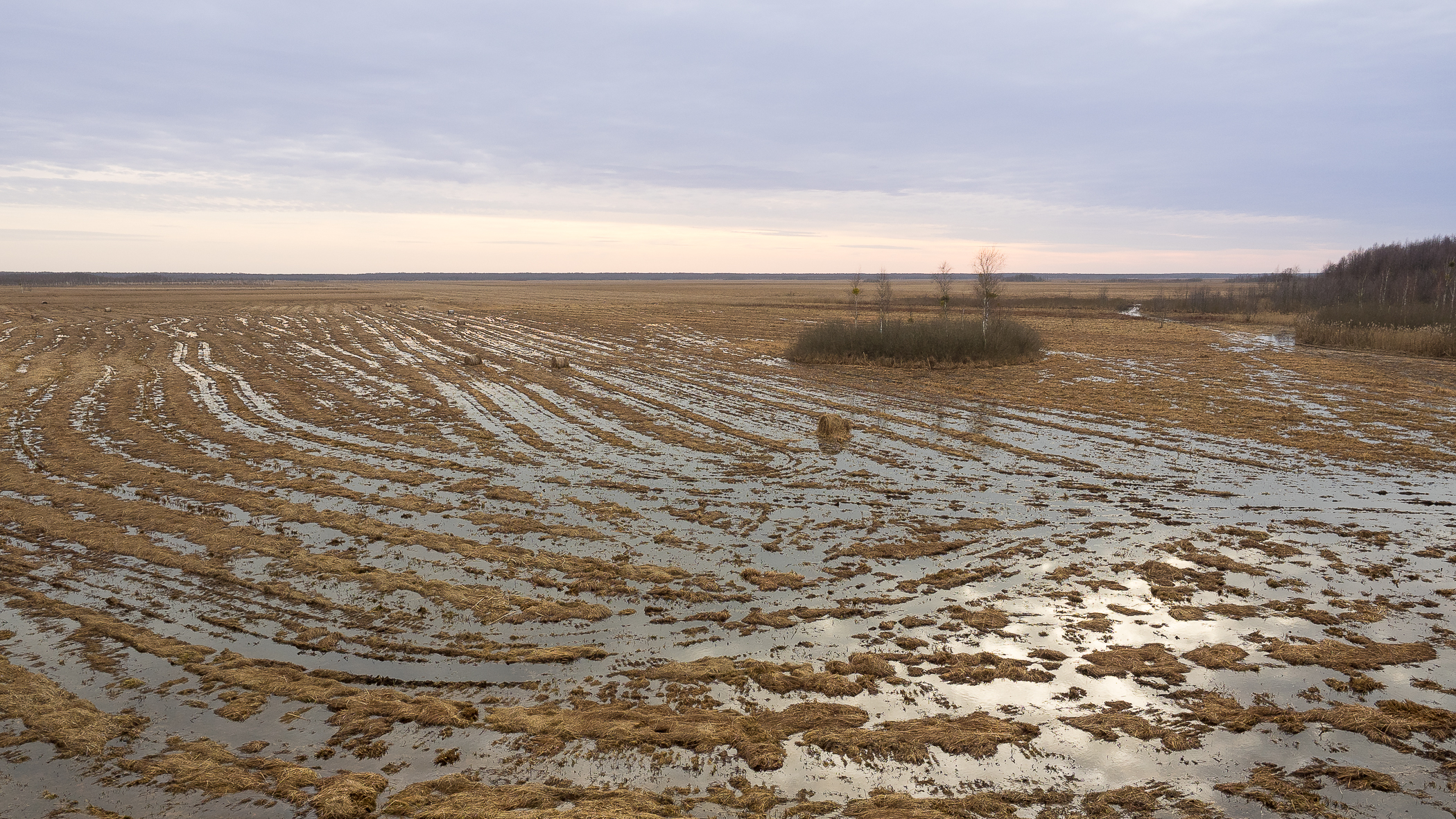 Nazwa:  P1010001.jpg
Wyświetleń: 195
Rozmiar:  2,73 MB