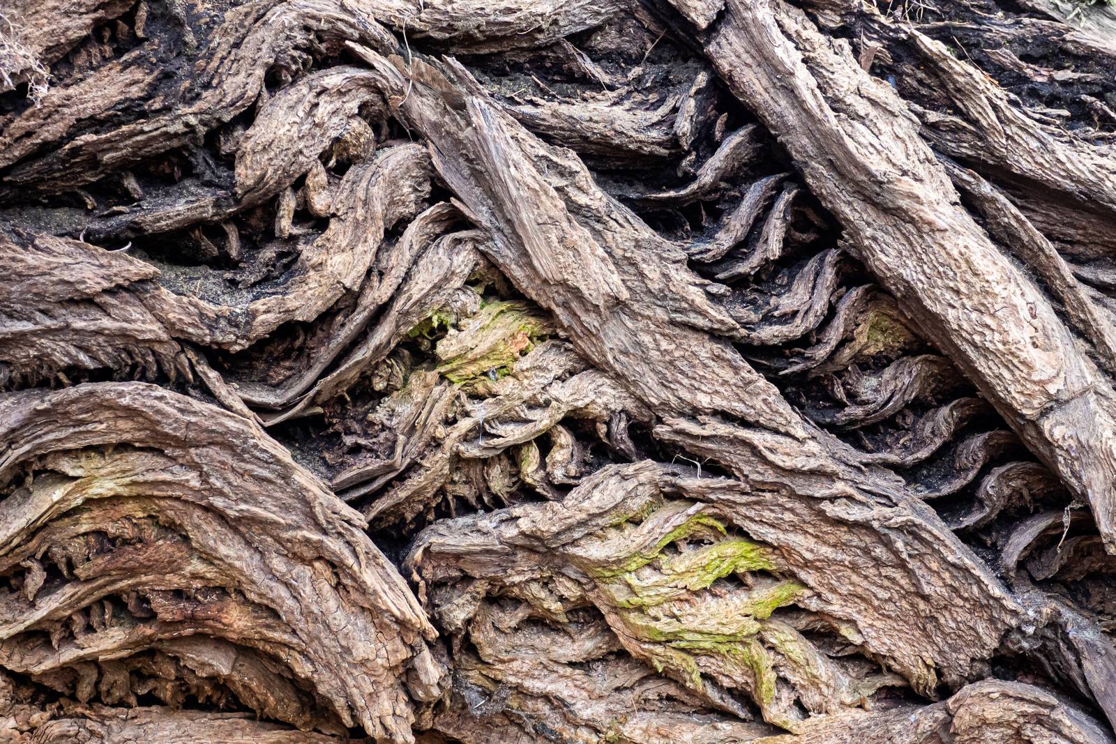 Nazwa:  s_3.jpg
Wyświetleń: 185
Rozmiar:  522,5 KB