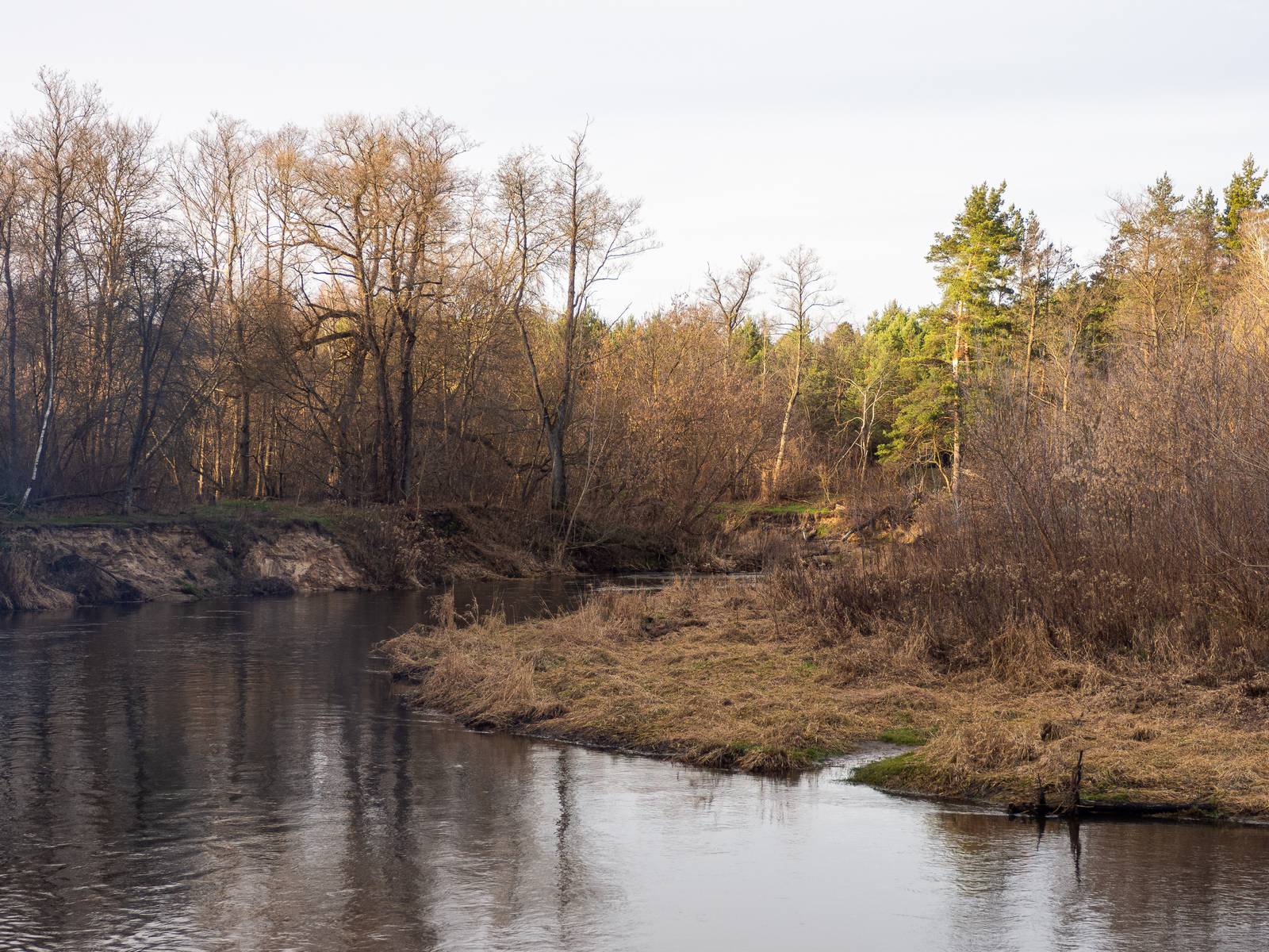 Nazwa:  s_2.jpg
Wyświetleń: 191
Rozmiar:  390,1 KB