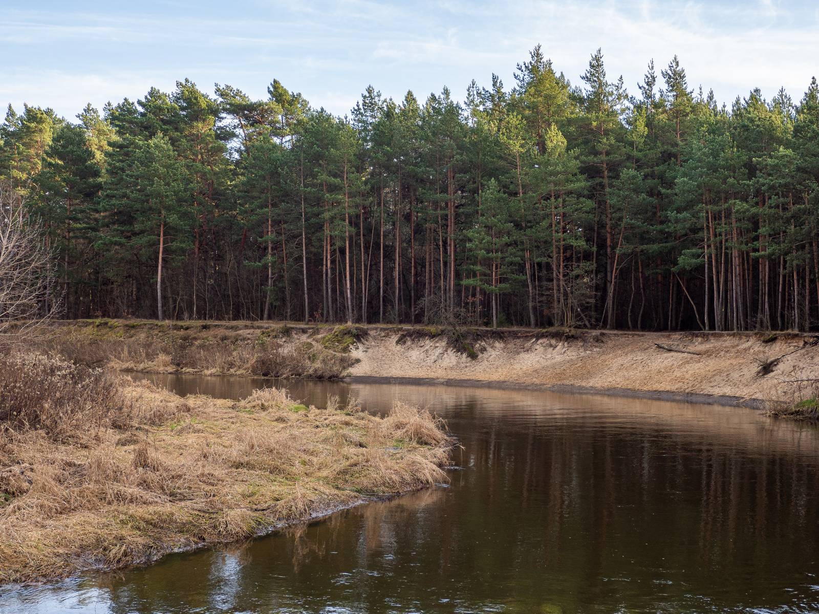 Nazwa:  s_1.jpg
Wyświetleń: 184
Rozmiar:  395,9 KB