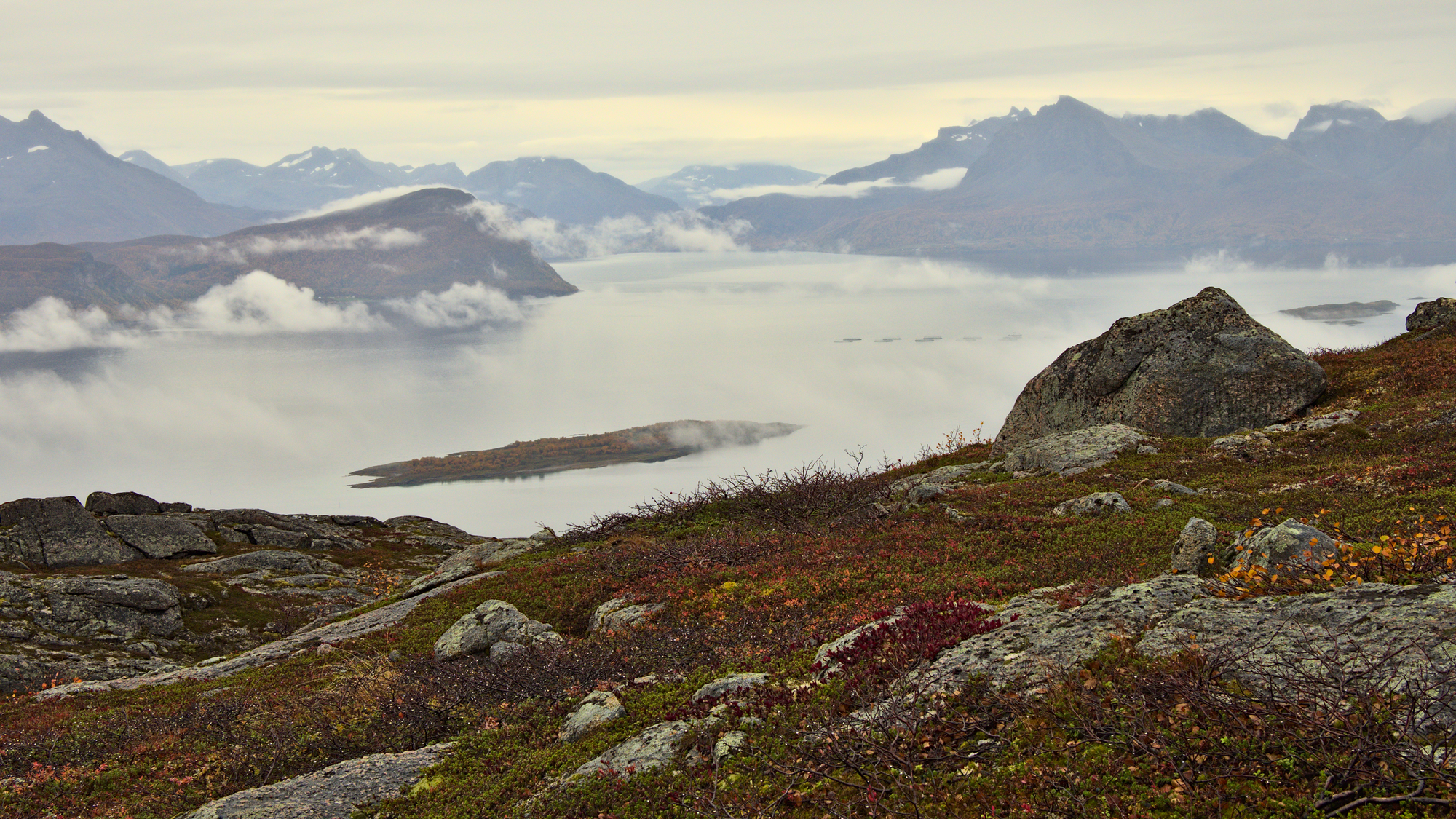 Nazwa:  KS243118.jpg
Wyświetleń: 260
Rozmiar:  3,43 MB