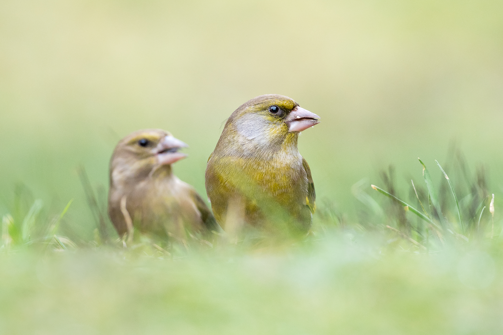 Nazwa:  P1110016.jpg
Wyświetleń: 177
Rozmiar:  1,85 MB