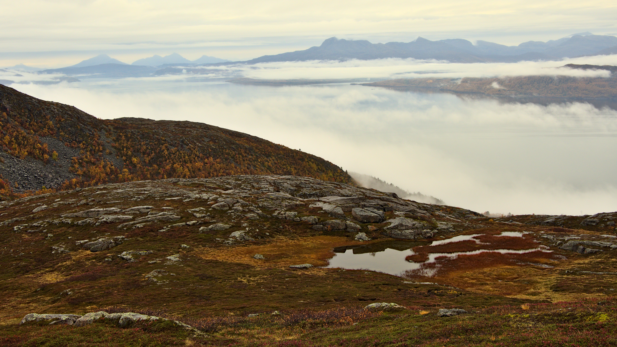 Nazwa:  KS243215.jpg
Wyświetleń: 211
Rozmiar:  3,26 MB