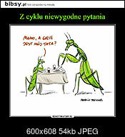 Kliknij obrazek, aby uzyskać większą wersję

Nazwa:	mamo-a-gdzie-jest-moj-tata.jpeg
Wyświetleń:	50
Rozmiar:	53,7 KB
ID:	251625