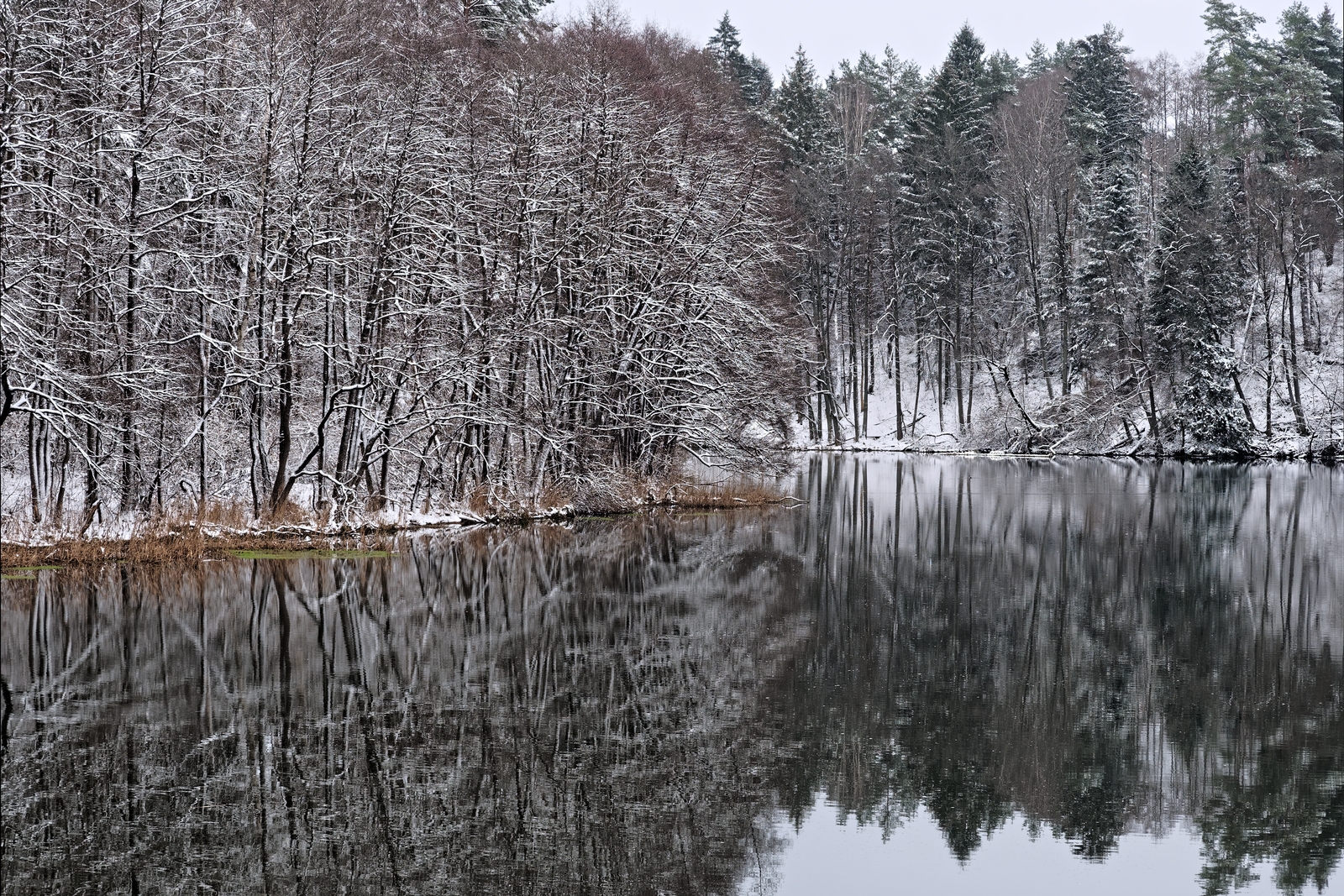 Nazwa:  ŁYNA.jpg
Wyświetleń: 302
Rozmiar:  2,07 MB