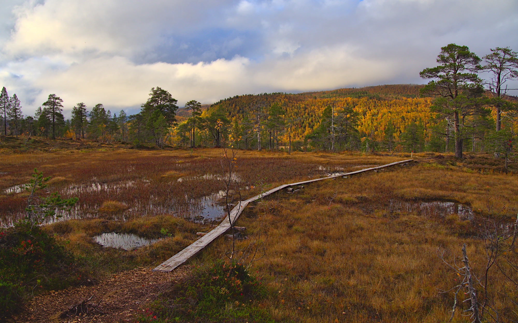 Nazwa:  KS243414.jpg
Wyświetleń: 169
Rozmiar:  4,18 MB