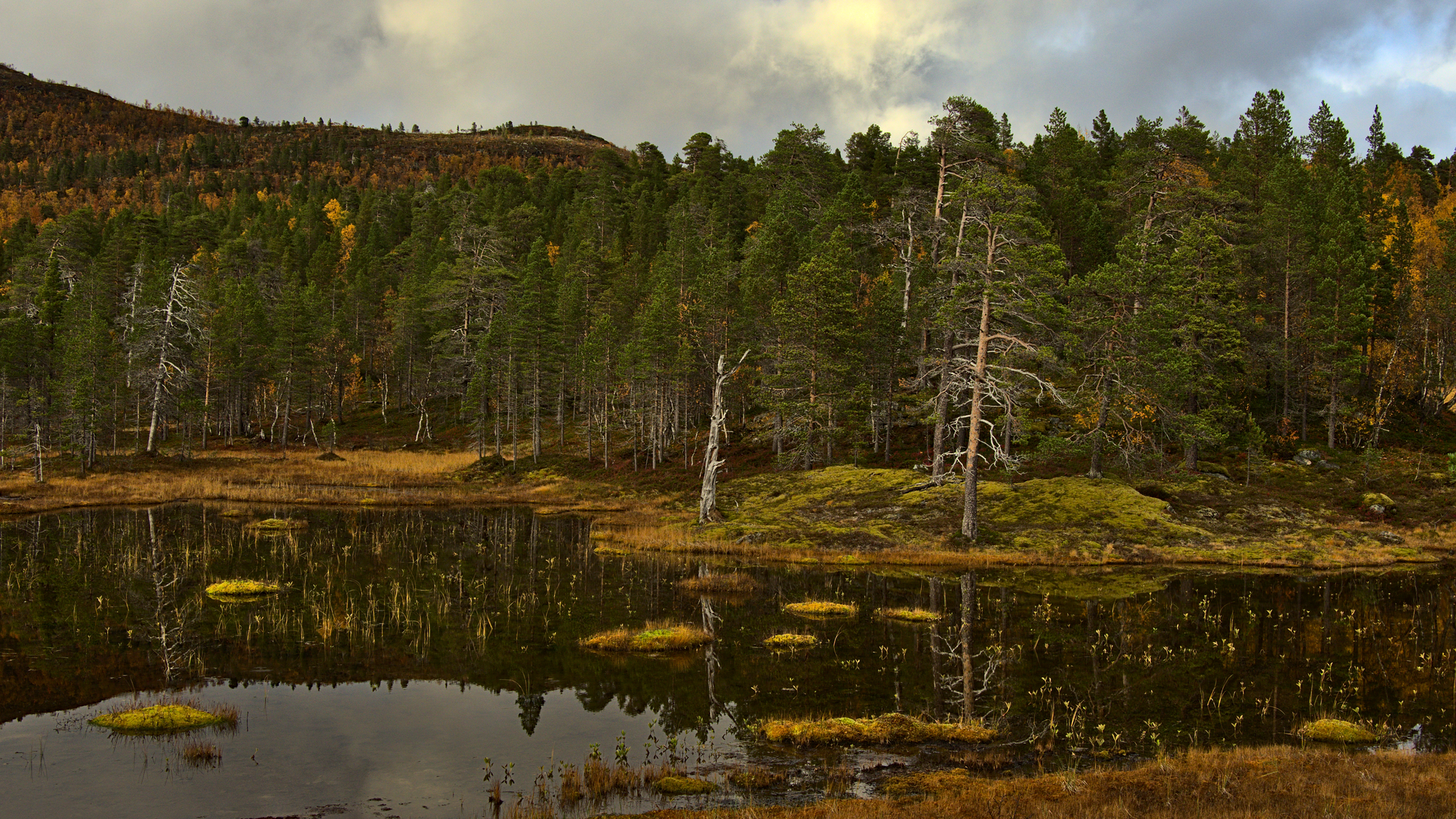 Nazwa:  KS243476.jpg
Wyświetleń: 147
Rozmiar:  3,59 MB