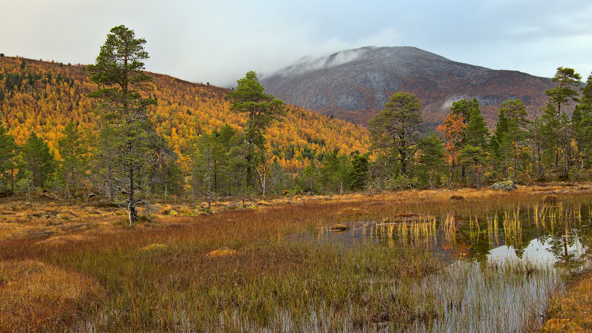 Nazwa:  KS243532.jpg
Wyświetleń: 150
Rozmiar:  3,96 MB