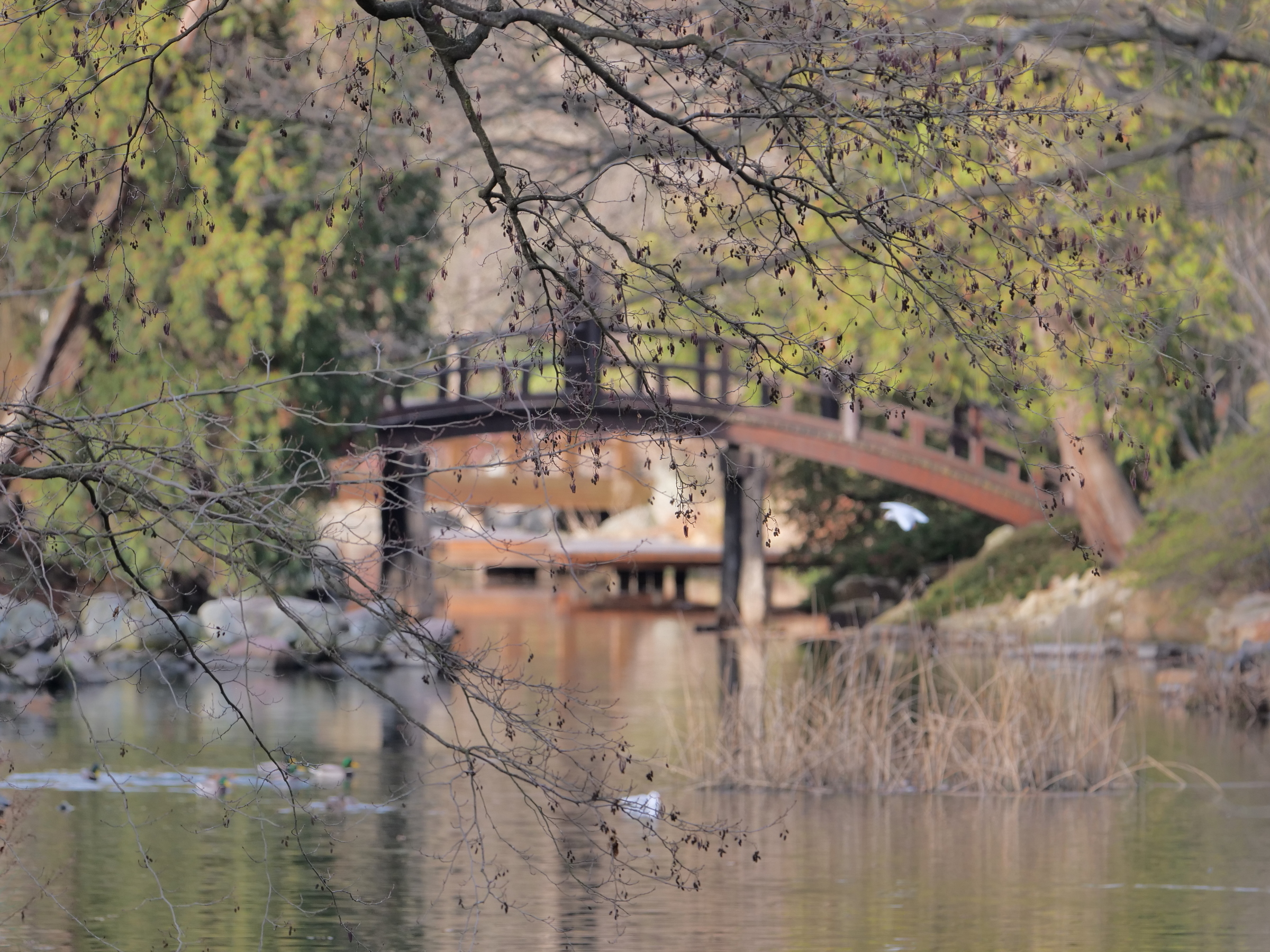 Nazwa:  P1121652m.JPG
Wyświetleń: 148
Rozmiar:  2,06 MB