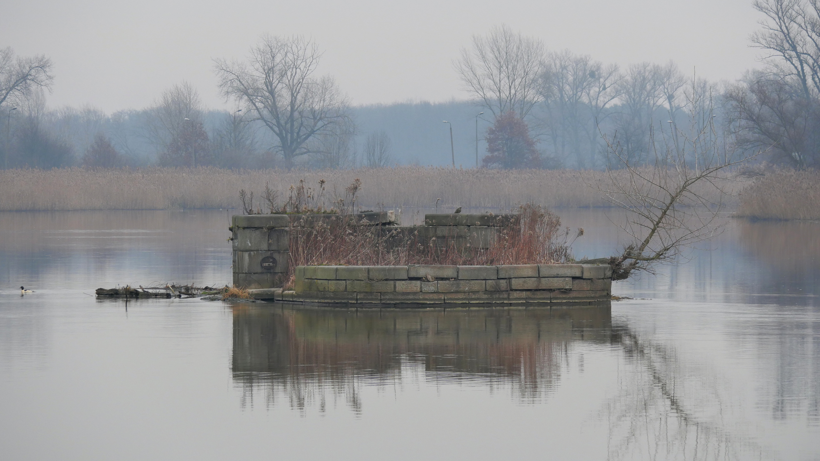 Nazwa:  P1034641m.JPG
Wyświetleń: 153
Rozmiar:  2,58 MB