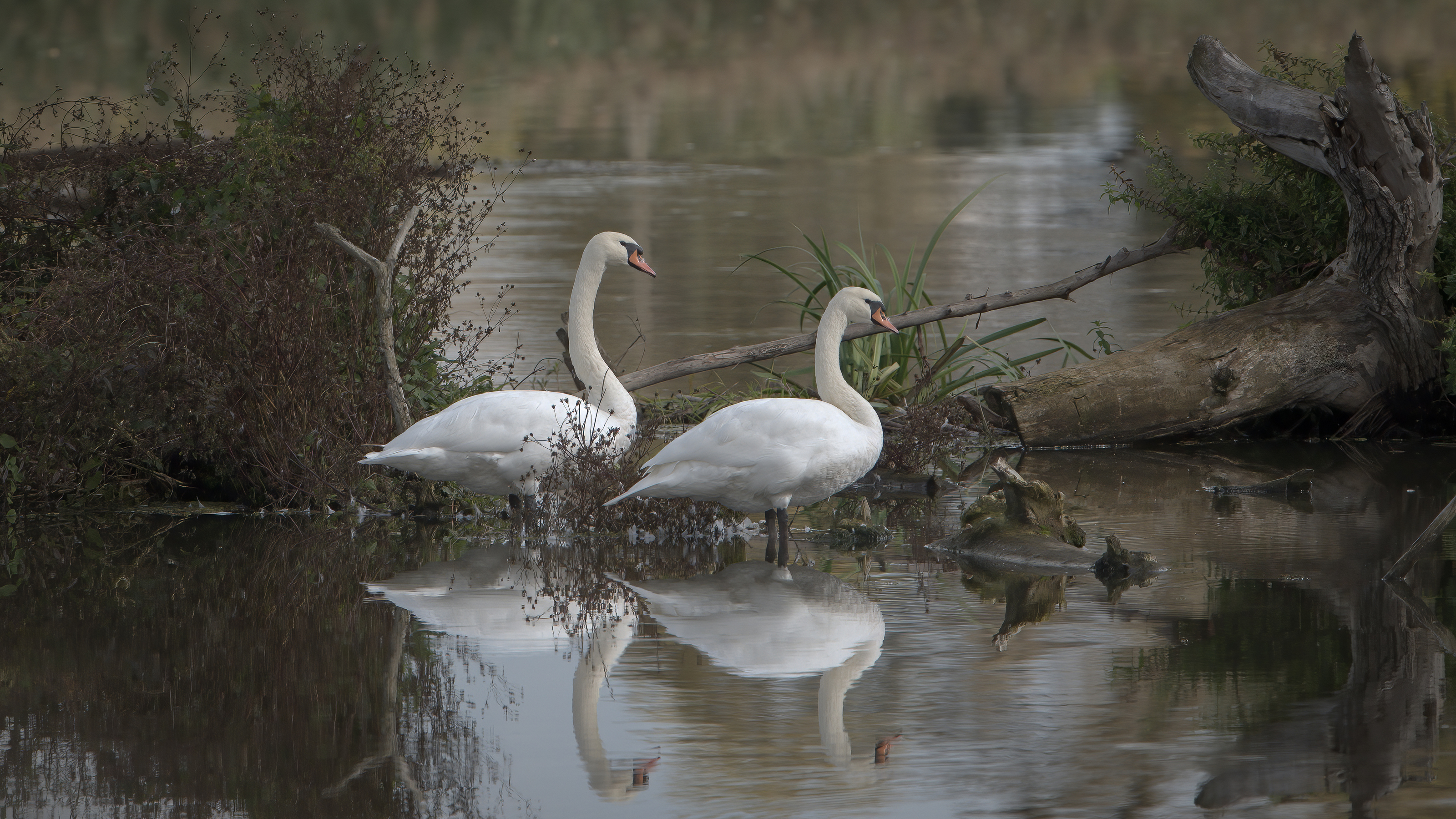 Nazwa:  labundzie2.JPG
Wyświetleń: 206
Rozmiar:  3,69 MB