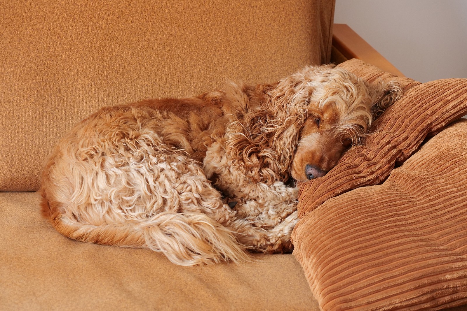 Nazwa:  Figa299816d.jpg
Wyświetleń: 161
Rozmiar:  683,9 KB