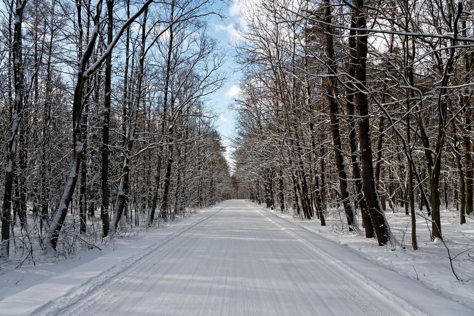 Nazwa:  droga przez las.jpg
Wyświetleń: 256
Rozmiar:  2,04 MB