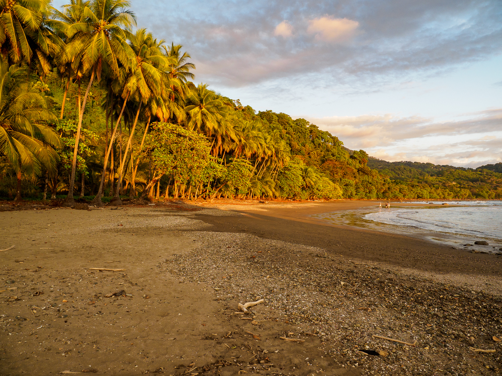 Nazwa:  _1170131.jpg
Wyświetleń: 134
Rozmiar:  2,62 MB