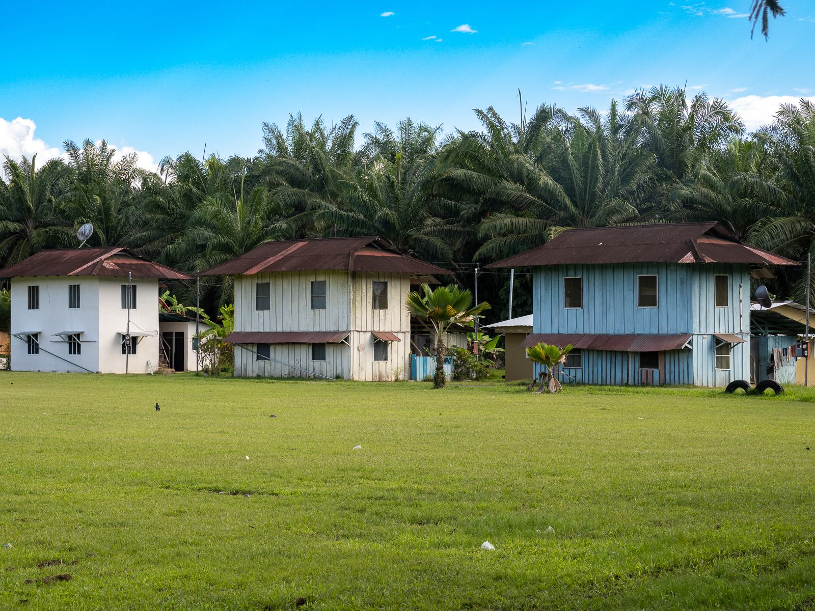 Nazwa:  _1190447.jpg
Wyświetleń: 137
Rozmiar:  2,14 MB