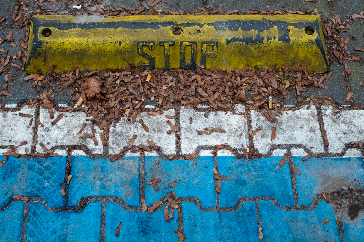 Nazwa:  DSCF3093.jpg
Wyświetleń: 140
Rozmiar:  1,33 MB