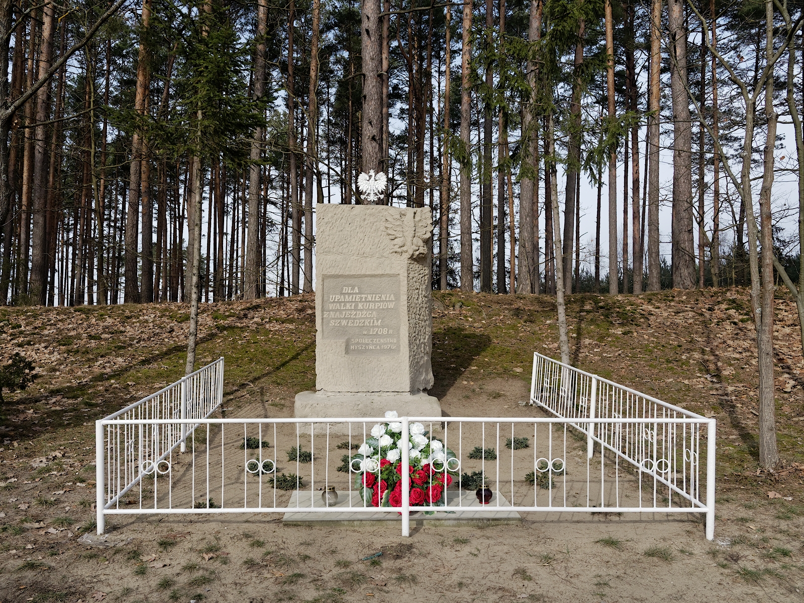 Nazwa:  Myszyniec.jpg
Wyświetleń: 130
Rozmiar:  2,42 MB