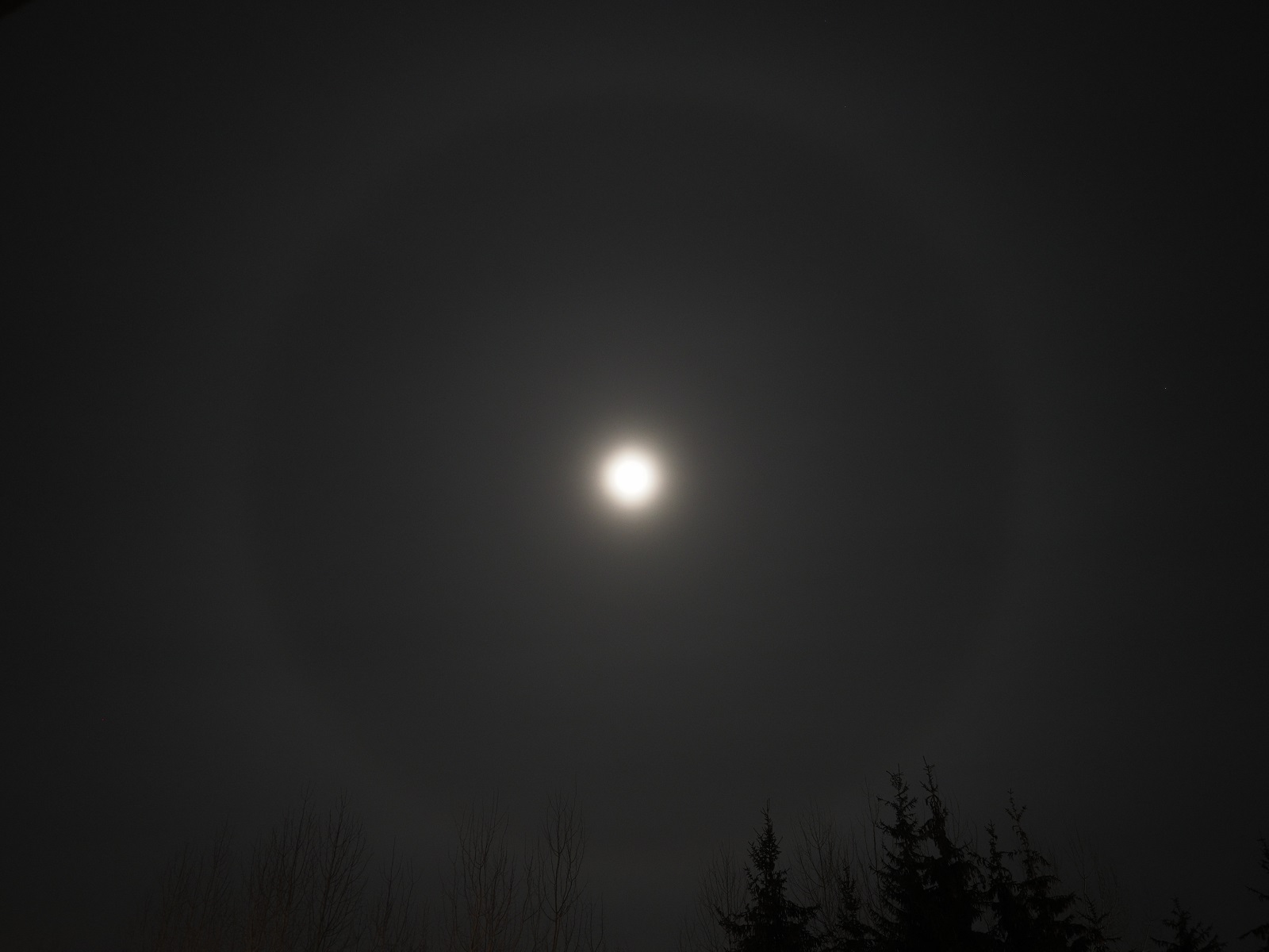 Nazwa:  halo_small.jpg
Wyświetleń: 306
Rozmiar:  222,0 KB