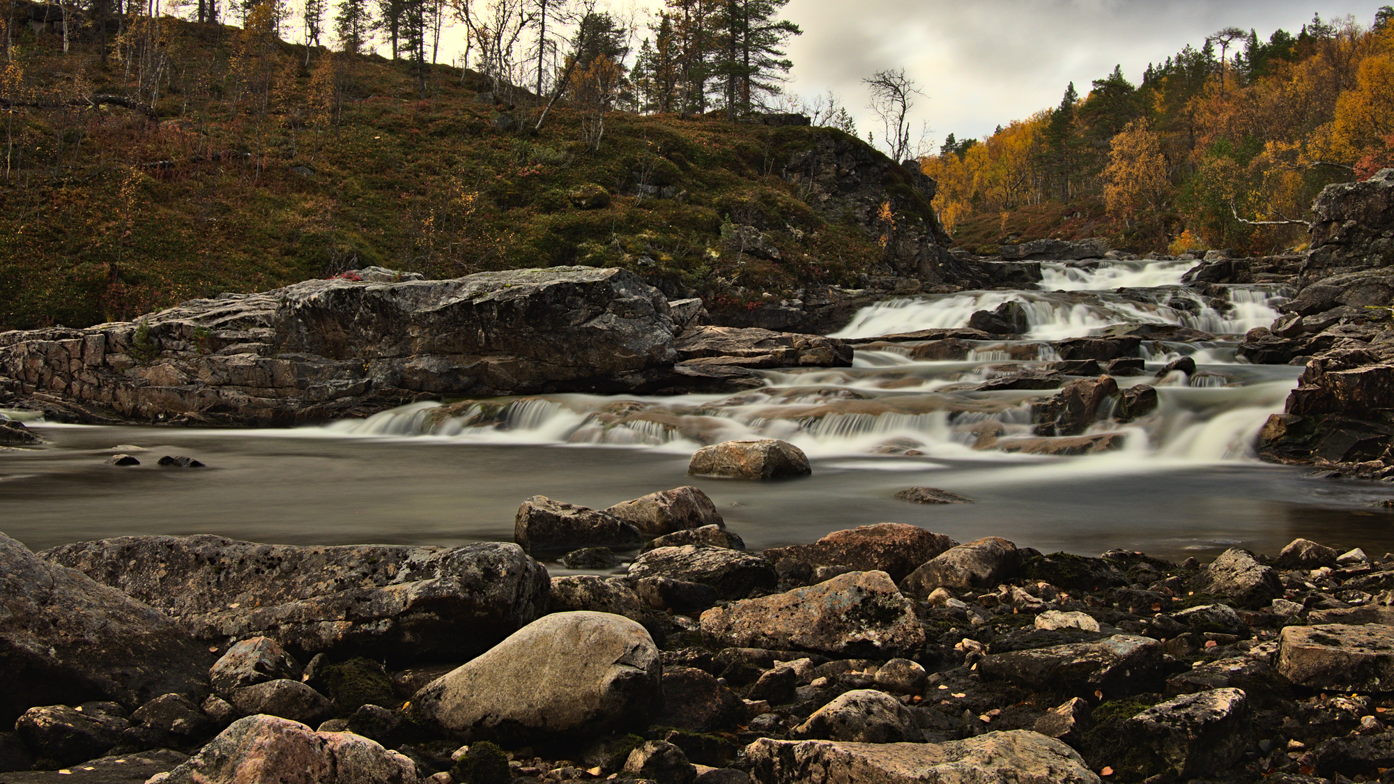 Nazwa:  KS243490.jpg
Wyświetleń: 160
Rozmiar:  3,55 MB