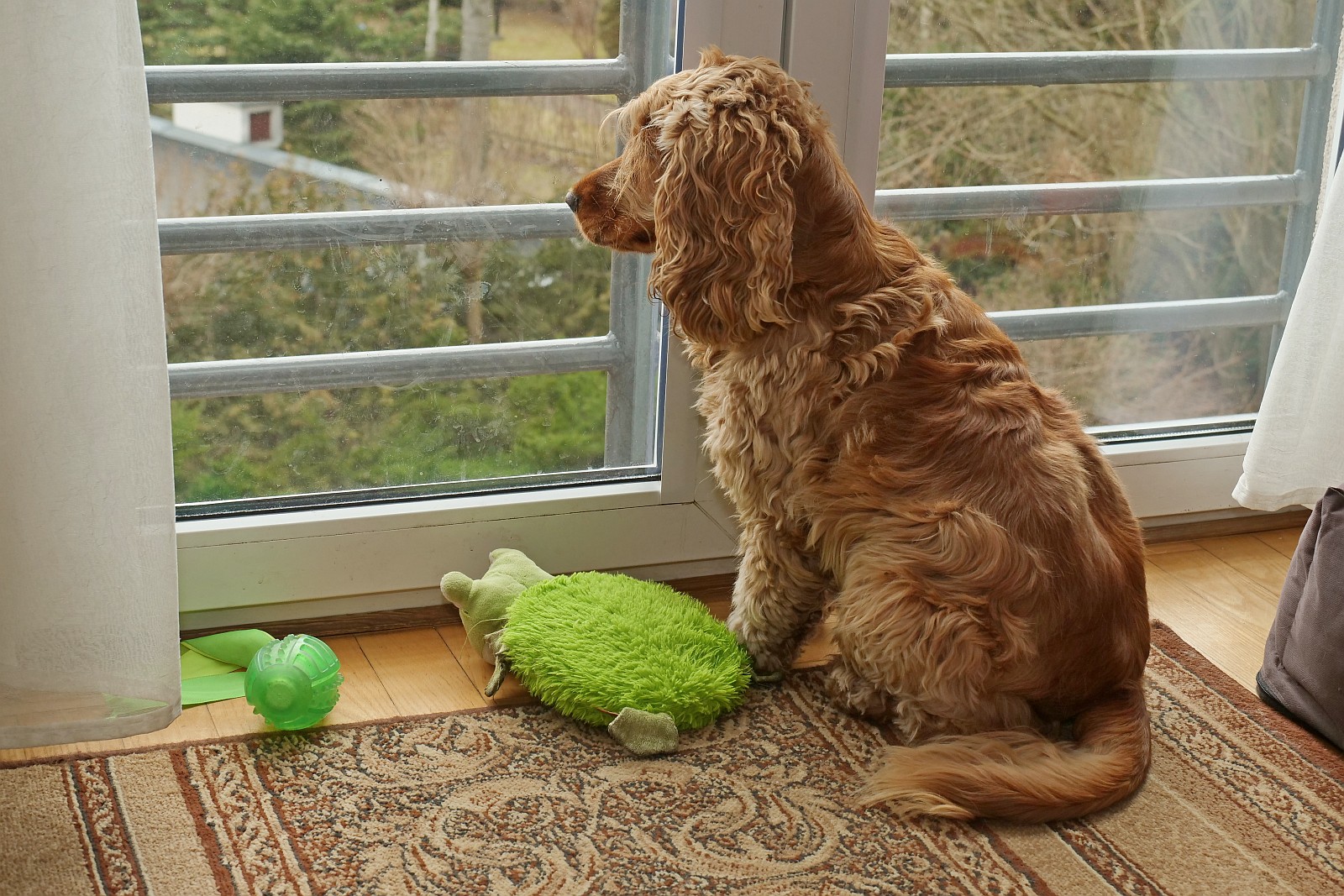 Nazwa:  Figa304935d.jpg
Wyświetleń: 145
Rozmiar:  524,7 KB