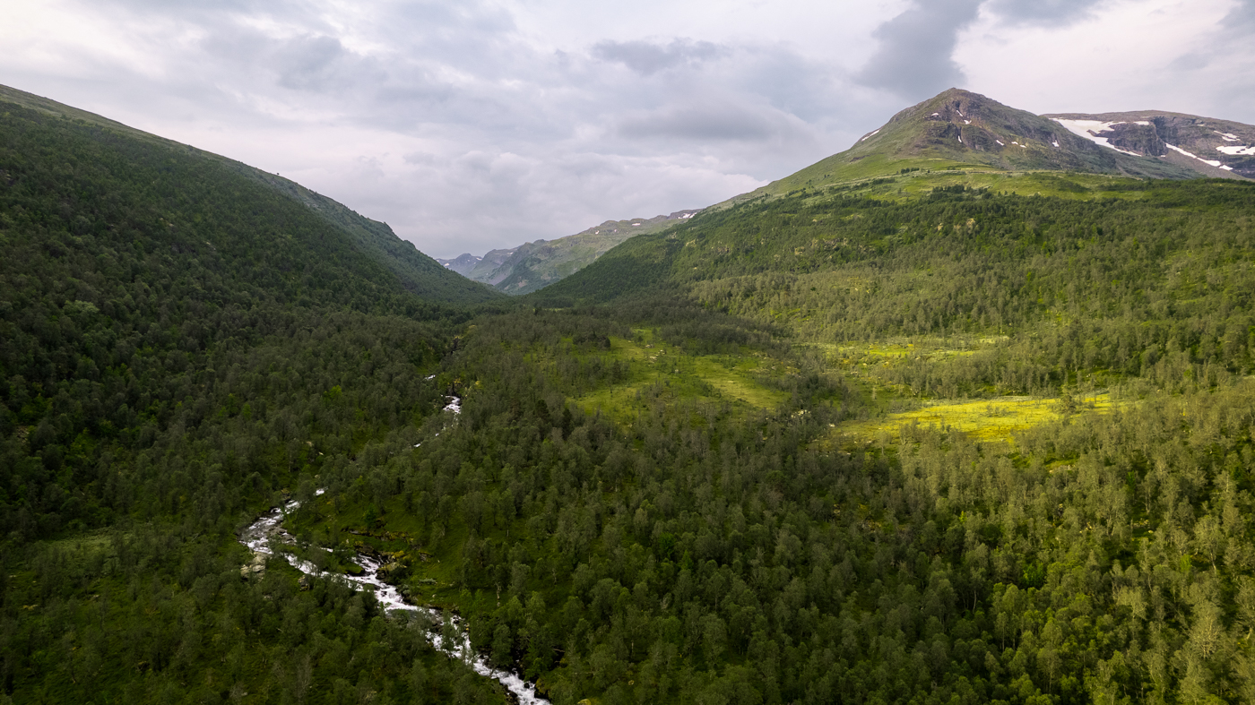 Nazwa:  DJI_0464.jpg
Wyświetleń: 119
Rozmiar:  984,6 KB