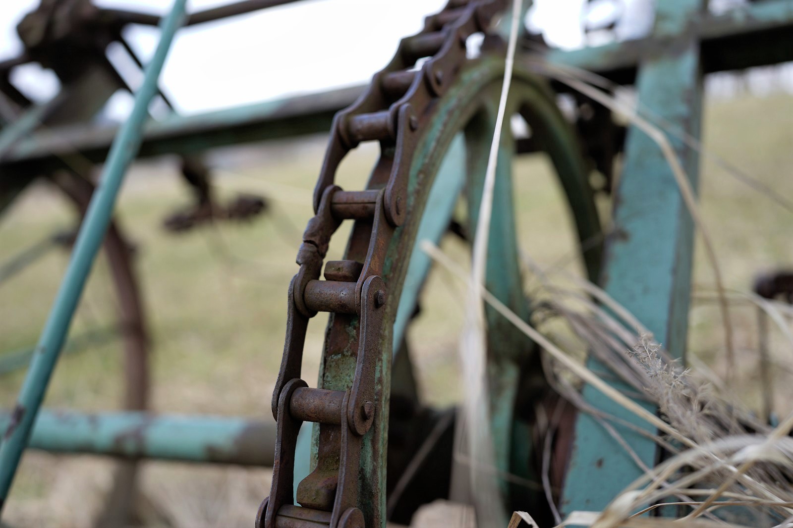 Nazwa:  PO_OLY.jpg
Wyświetleń: 73
Rozmiar:  213,6 KB