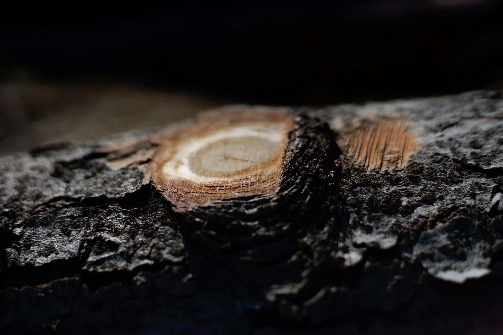 Nazwa:  2_OLY.jpg
Wyświetleń: 177
Rozmiar:  308,9 KB