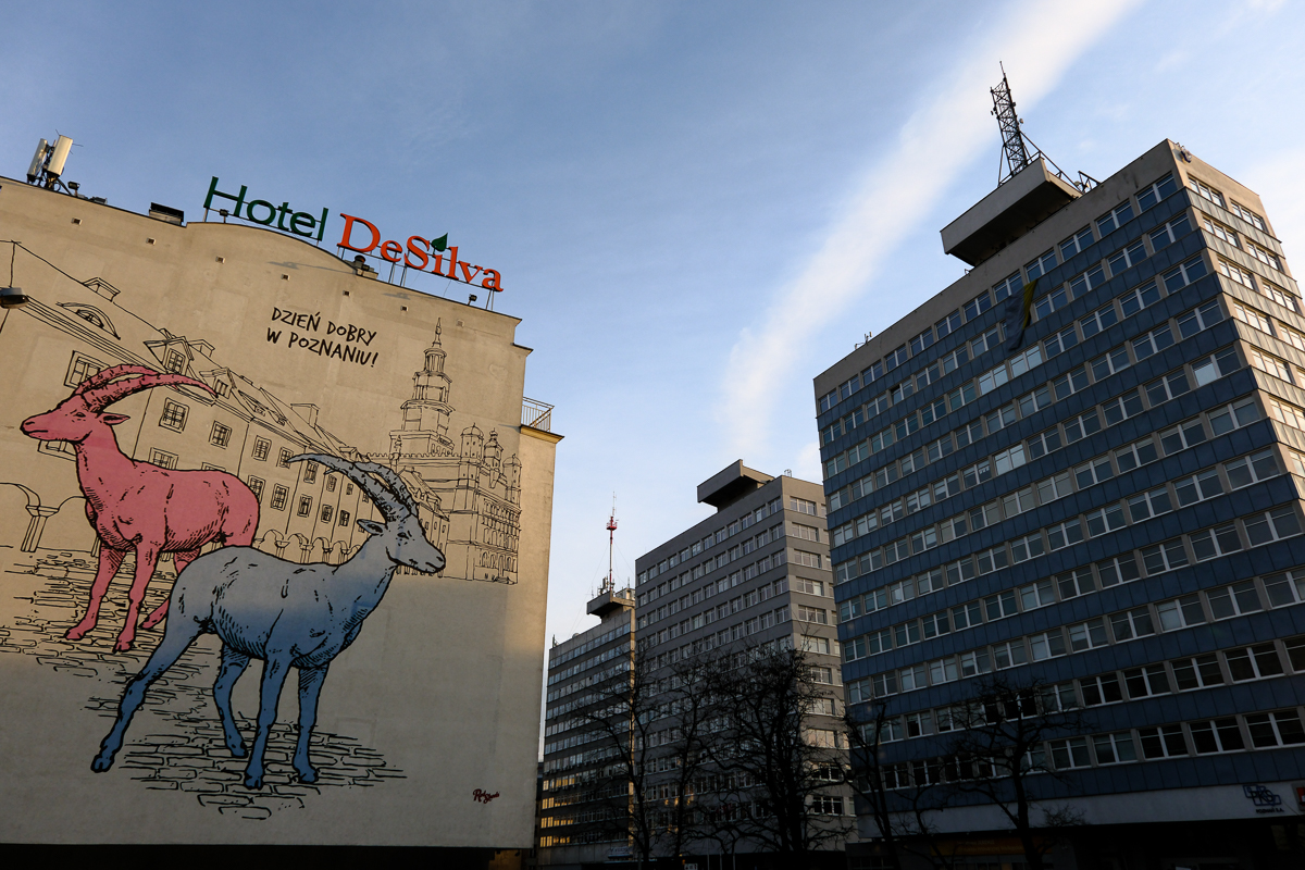 Nazwa:  DSCF6409.jpg
Wyświetleń: 288
Rozmiar:  806,7 KB