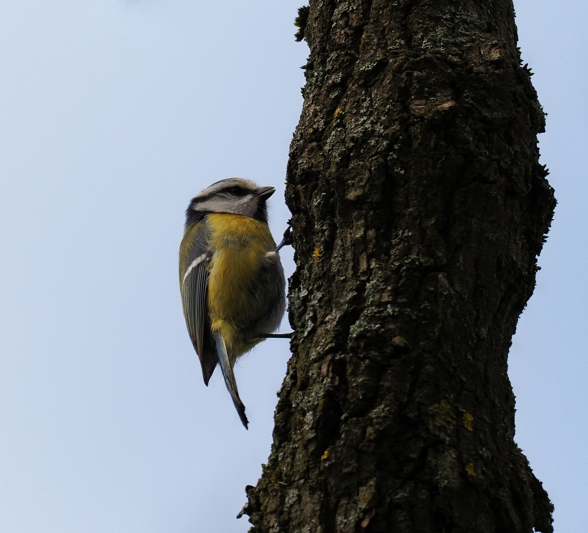 Nazwa:  P40704442.jpg
Wyświetleń: 266
Rozmiar:  906,1 KB