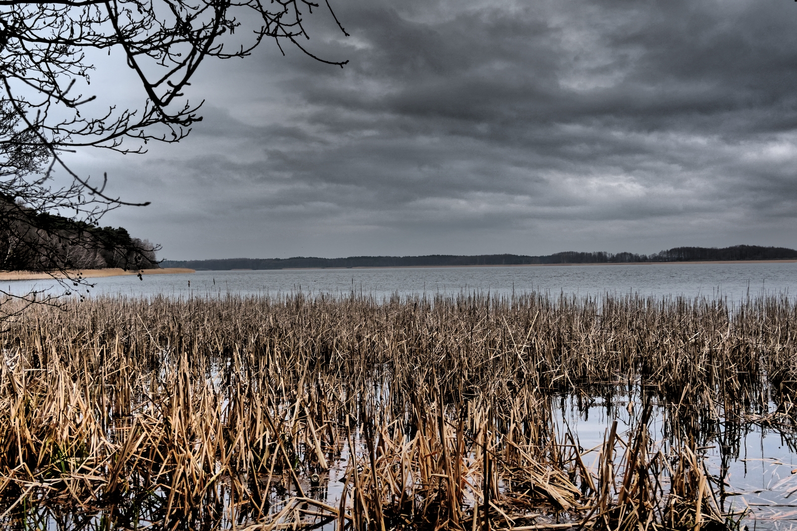 Nazwa:  Urszulewo - Jezioro Urszuleńskie.jpg
Wyświetleń: 422
Rozmiar:  1,70 MB