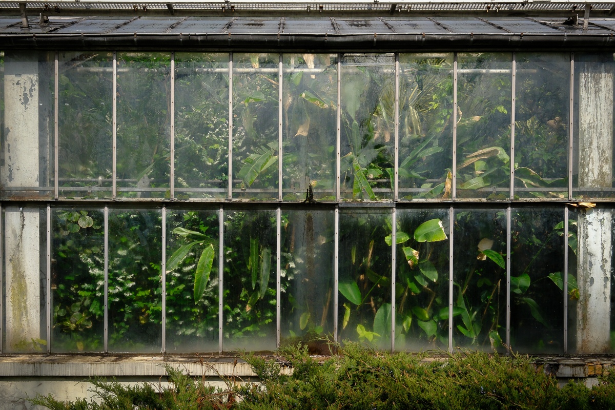 Nazwa:  DSCF6886.jpg
Wyświetleń: 131
Rozmiar:  1.022,6 KB