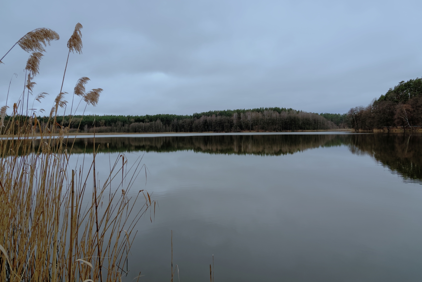 Nazwa:  jezioro.jpg
Wyświetleń: 134
Rozmiar:  839,3 KB