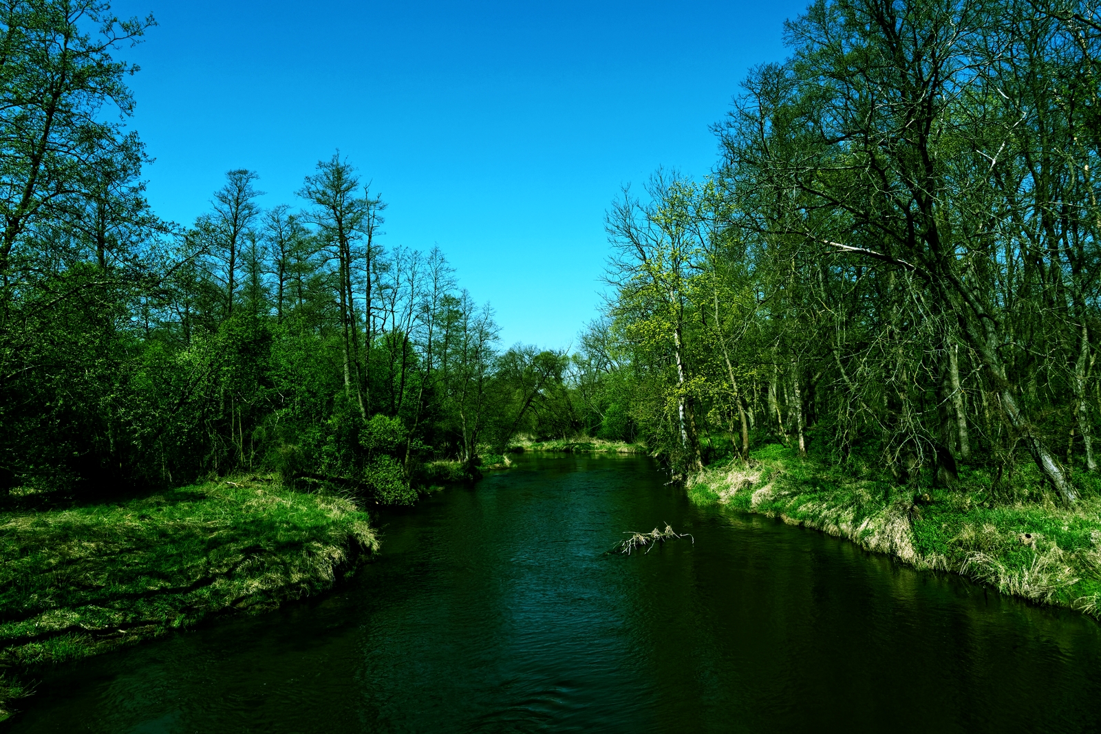 Nazwa:  krajobraz.jpg
Wyświetleń: 86
Rozmiar:  1,83 MB