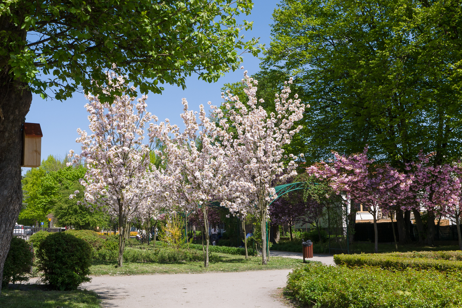 Nazwa:  P1500171.jpg
Wyświetleń: 141
Rozmiar:  2,53 MB