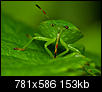 Kliknij obrazek, aby uzyskać większą wersję

Nazwa:	P8181862.JPG
Wyświetleń:	230
Rozmiar:	152,7 KB
ID:	25507