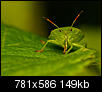 Kliknij obrazek, aby uzyskać większą wersję

Nazwa:	P8181865.JPG
Wyświetleń:	236
Rozmiar:	149,1 KB
ID:	25508