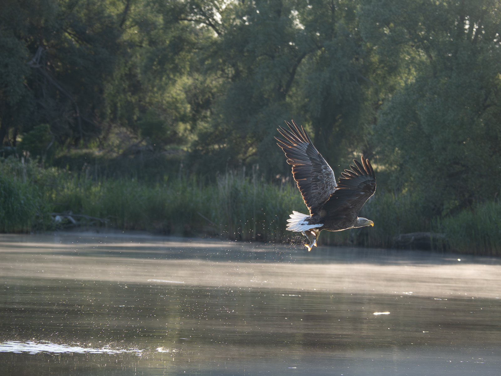 Nazwa:  _6040726-Poprawione-Szum.jpg
Wyświetleń: 421
Rozmiar:  1,08 MB