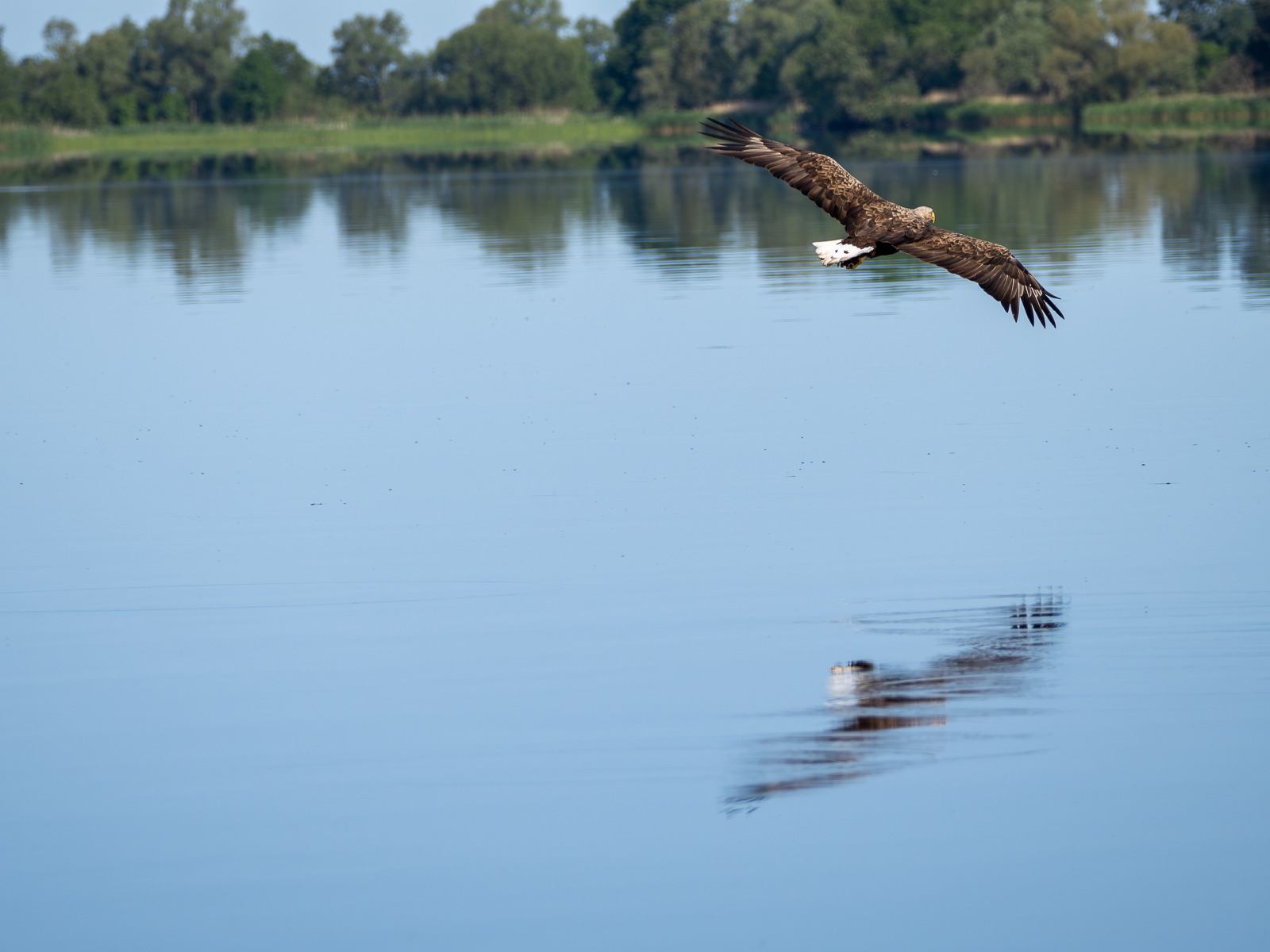 Nazwa:  Bieliki_ 15.jpg
Wyświetleń: 355
Rozmiar:  712,3 KB